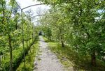 Biologische Vielfalt im Garten - Das ehemalige Kapuzinerkloster in Laufen als Beispiel