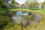 Biologische Vielfalt im Garten - Das ehemalige Kapuzinerkloster in Laufen als Beispiel