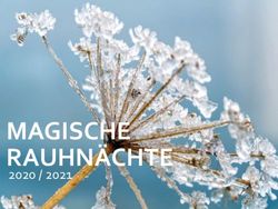 MAGISCHE RAUHN&Auml;CHTE 2020 / 2021 - Body Mind Coaching