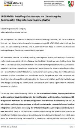 LEITFADEN - Erstellung des Konzepts zur Umsetzung des Kommunalen Integrationsmanagement NRW