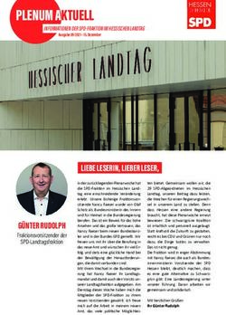 PLENUM AKTUELL - SPD-Landtagsfraktion Hessen