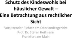 Schutz des Kindeswohls bei h&auml;uslicher Gewalt - Eine Betrachtung aus rechtlicher Sicht - Vorsitzender Richter am Oberlandesgericht Prof. Dr. Stefan ...