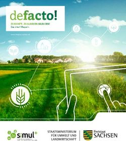 Defacto! ZUKUNFT. ZUSAMMEN BRINGEN! - Das simul+ Magazin - sachsen.de