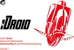 Cat 1Droid Einrad mit Elektromotor Nutzerhandbuch und Schnellstartanleitung