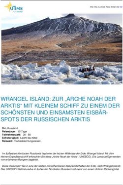 WRANGEL ISLAND: ZUR "ARCHE NOAH DER ARKTIS" MIT KLEINEM SCHIFF ZU EINEM DER SCH&Ouml;NSTEN UND EINSAMSTEN EISB&Auml;R-SPOTS DER RUSSISCHEN ARKTIS - uTime.de