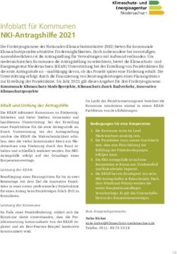 Infoblatt für Kommunen NKI-Antragshilfe 2021 - Klimaschutz ...