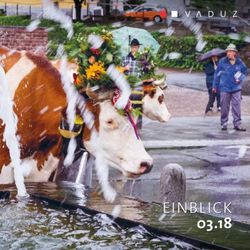 EINBLICK - Gemeinde Vaduz