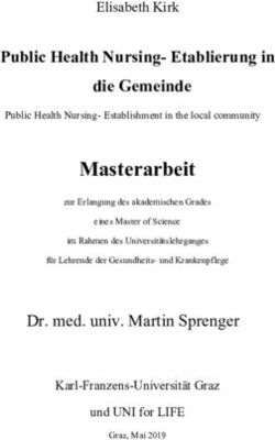 Masterarbeit Public Health Nursing-Etablierung in die Gemeinde