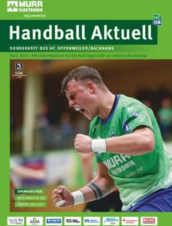 SONDERHEFT DES HC OPPENWEILER/BACKNANG - SPANNUNG PUR - April 2021 Alle Informationen f&uuml;r die Aufstiegsrunde zur zweiten Bundesliga