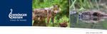 REISEINFORMATIONEN 2018 - 8203 Kroatien Natur hautnah: Aktiv in Dalmatien - Wikinger Reisen