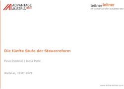 Die f&uuml;nfte Stufe der Steuerreform - Pavo Djedović | Irena Perić Webinar, 19.01.2021 - LeitnerLeitner