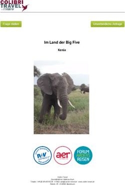 Im Land der Big Five Kenia - Colibri Travel