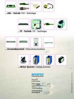 LWL - Technik / FO - Technique - Netoptic CZ
