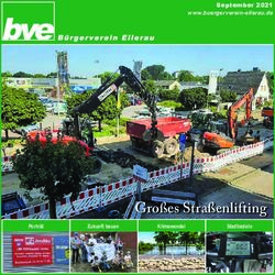 Gro&szlig;es Stra&szlig;enlifting - Portr&auml;t - B&uuml;rgerverein Ellerau