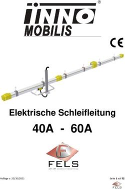 40A - 60A Elektrische Schleifleitung - Fels