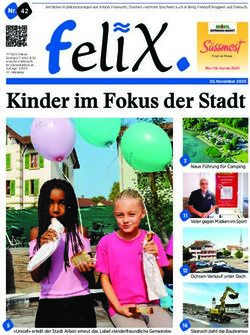 Kinder im Fokus der Stadt - felix. die zeitung.