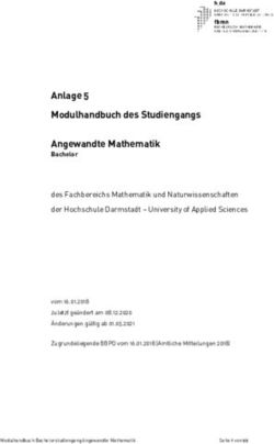 Anlage 5 Modulhandbuch des Studiengangs Angewandte Mathematik - Hochschule Darmstadt