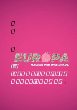 PLÄNE FÜR EIN NEUES EUROPA - Neos