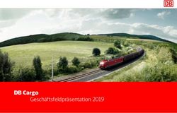 DB Cargo Gesch&auml;ftsfeldpr&auml;sentation 2019 - Xrail