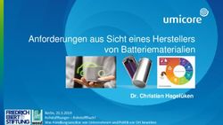 Anforderungen aus Sicht eines Herstellers von Batteriematerialien - Dr. Christian Hagel&uuml;ken - Weed