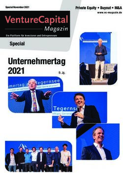 Unternehmertag 2021 Special - Private Equity Buyout M&A - Mountain Partners
