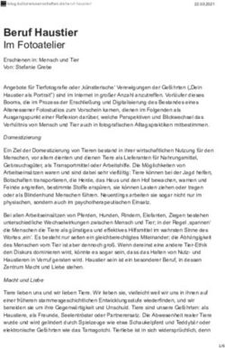 BERUF HAUSTIER IM FOTOATELIER ERSCHIENEN IN: MENSCH UND TIER VON: STEFANIE GREBE - DUEPUBLICO 2