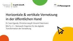 HORIZONTALE & VERTIKALE VERNETZUNG IN DER &Ouml;FFENTLICHEN HAND - DR. SVEN EGYEDY, CHRISTINA LANG & VINCENT PATERMANN NEXT E. V - NETZWERK: EXPERTEN ...