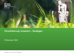 Chronifizierung -Ursachen - Strategien - Pörtschach 2021