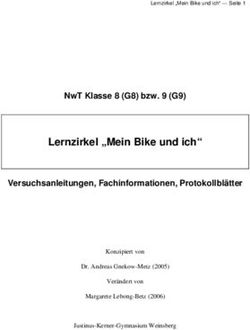 LERNZIRKEL "MEIN BIKE UND ICH" - NWT KLASSE 8 (G8) BZW. 9 (G9)