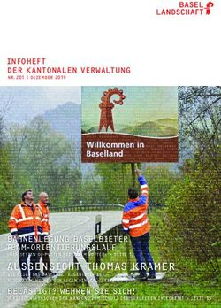 AUSSENSICHT THOMAS KRAMER - INFOHEFT DER KANTONALEN VERWALTUNG - Baselland