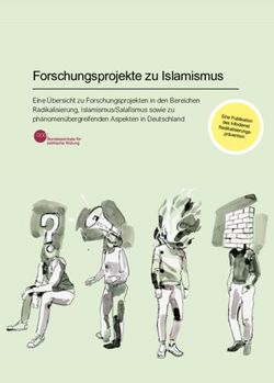 Forschungsprojekte zu Islamismus - Eine &Uuml;bersicht zu Forschungsprojekten in den Bereichen Radikalisierung, Islamismus/Salafismus sowie zu ...