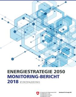 ENERGIESTRATEGIE 2050 MONITORING-BERICHT - 2018 KURZFASSUNG