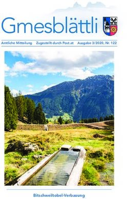 Gmesbl&auml;ttli - Bitschweiltobel-Verbauung - Amtliche Mitteilung Zugestellt durch Post.at Ausgabe 3/2020, Nr. 122 - Gemeinde Tschagguns
