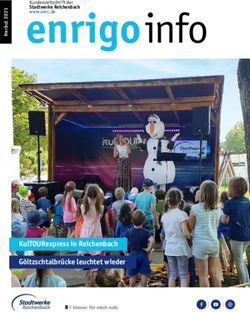Enrigoinfo - KulTOURexpress in Reichenbach G&ouml;ltzschtalbr&uuml;cke leuchtet wieder - Kundenzeitschrift der