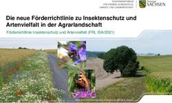 Die neue Förderrichtlinie zu Insektenschutz und Artenvielfalt in der Agrarlandschaft