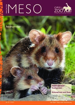 Feldhamster - TierporTr&auml;T Feldhamster Artenschutz und Zoos - Opel-Zoo