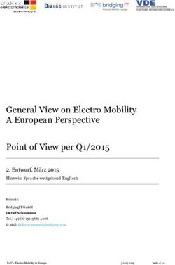 General View on Electro Mobility A European Perspective Point of View per Q1/2015