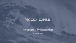 Investoren Pr&auml;sentation - Januar 2019 - Webflow