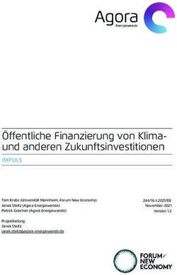 &Ouml;ffentliche Finanzierung von Klima- und anderen Zukunftsinvestitionen - Agora Energiewende