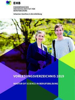 VORLESUNGSVERZEICHNIS 2019 - MASTER OF SCIENCE IN BERUFSBILDUNG - Eidgenössisches Hochschulinstitut für ...