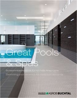 Great Pools & Spas Schwimmbadkeramik für höchste Ansprüche Swimming pool ceramics for maximum demands