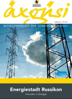 Energiestadt Russikon - MITTEILUNGSBLATT DER GEMEINDE RUSSIKON - Innovativ in Energie