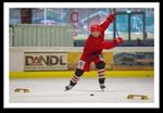 Der Einfluss von Ganzk&ouml;rper-EMS-Training auf die Leistung von Eishockeyspielern verschiedener Leistungsklassen