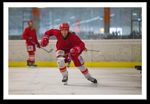 Der Einfluss von Ganzk&ouml;rper-EMS-Training auf die Leistung von Eishockeyspielern verschiedener Leistungsklassen