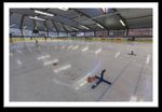 Der Einfluss von Ganzk&ouml;rper-EMS-Training auf die Leistung von Eishockeyspielern verschiedener Leistungsklassen