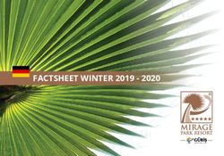 FACTSHEET WINTER 2019 2020 - mirage park resort