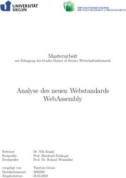 ANALYSE DES NEUEN WEBSTANDARDS WEBASSEMBLY - MASTERARBEIT - CRYPTOOL