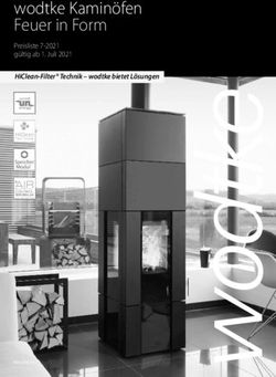 WODTKE KAMINÖFEN FEUER IN FORM - HICLEAN-FILTER TECHNIK - WODTKE BIETET LÖSUNGEN PREISLISTE 7-2021 GÜLTIG AB 1. JULI 2021