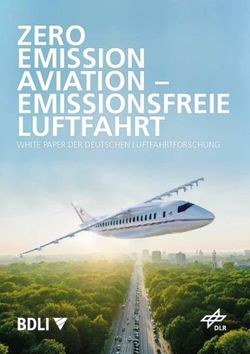 ZERO EMISSION AVIATION - EMISSIONSFREIE LUFTFAHRT - WHITE PAPER DER DEUTSCHEN LUFTFAHRTFORSCHUNG