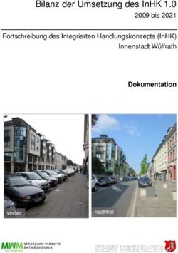 BILANZ DER UMSETZUNG DES INHK 1.0 - 2009 BIS 2021 DOKUMENTATION